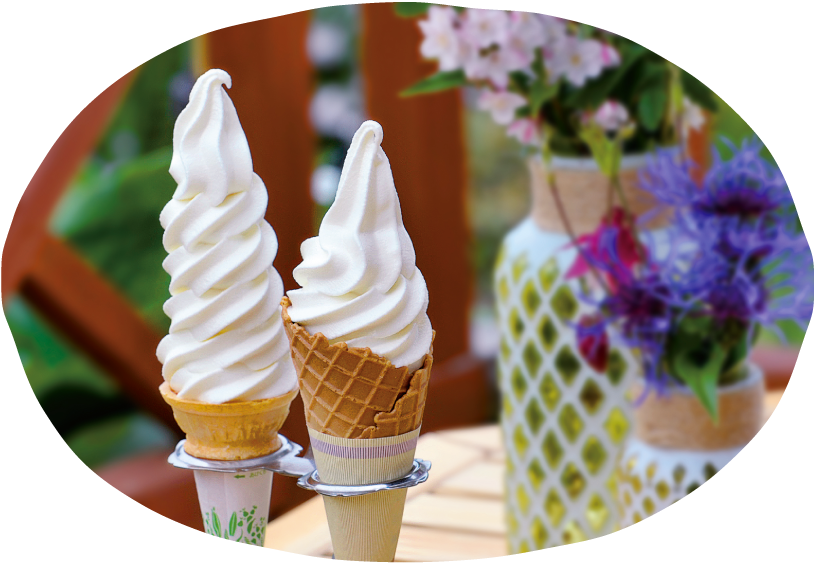 softcream